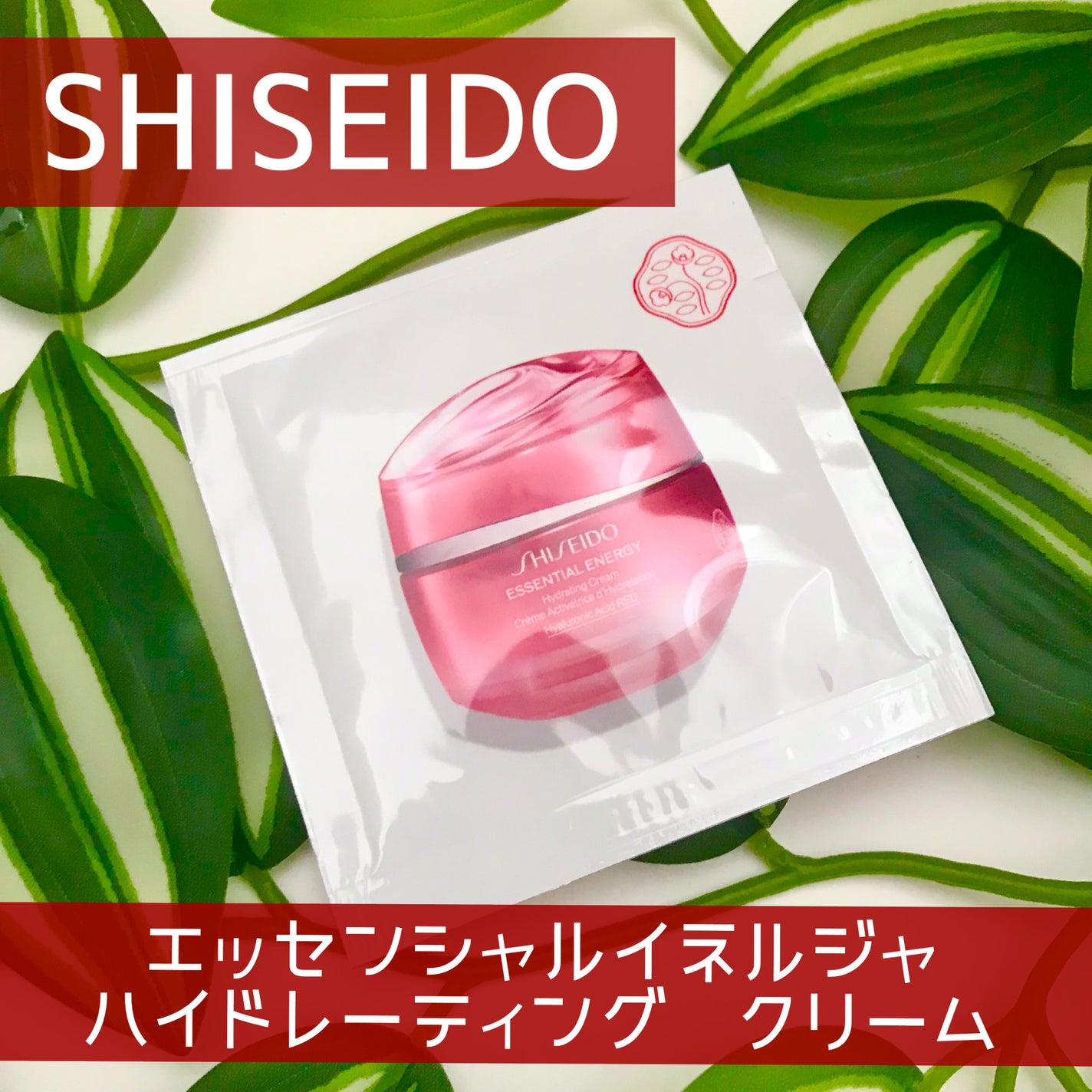 エッセンシャルイネルジャ ハイドレーティング クリーム/SHISEIDO/フェイスクリームを使ったクチコミ(1枚目)