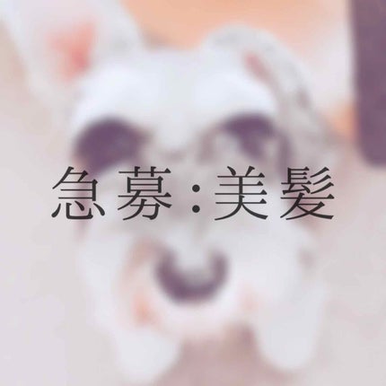 アクアデュウエナジー EX/MACHERIE/ヘアミルクを使ったクチコミ(1枚目)