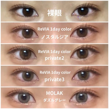 ReVIA 1day [COLOR] PRIVATE 02（プライベート 02）/ReVIA/カラーコンタクトレンズの画像