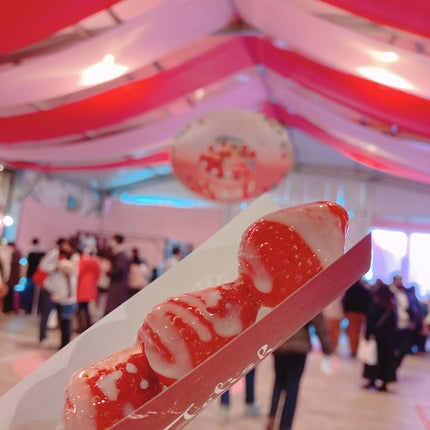 プライムリキッドアイライナー リッチジュエル/ヒロインメイク/リキッドアイライナーを使ったクチコミ(2枚目)