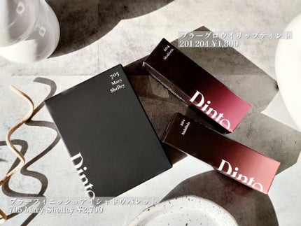 ブラーフィニシュシャドウパレット/Dinto/アイシャドウパレットを使ったクチコミ(2枚目)