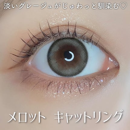 melotte 1day/melotte/ワンデー(1DAY)カラコンを使ったクチコミ(2枚目)