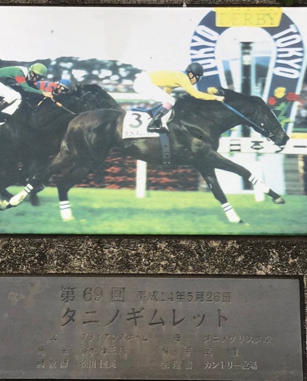 まめ子 on LIPS 「今年の天皇賞・秋行ってきました〜✨私の推しタニノギムレットの産..」(4枚目)