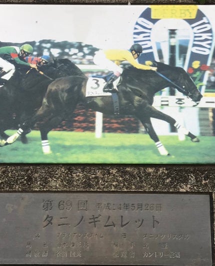 まめ子 on LIPS 「今年の天皇賞・秋行ってきました〜✨私の推しタニノギムレットの産..」(4枚目)