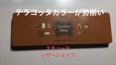 プレイカラー アイシャドウ レザーショップ/ETUDE/アイシャドウパレットを使ったクチコミ（1枚目）