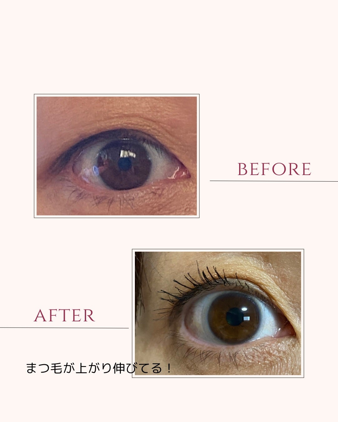 ラッシュキープマスカラ/Ririmew/マスカラを使ったクチコミ(2枚目)