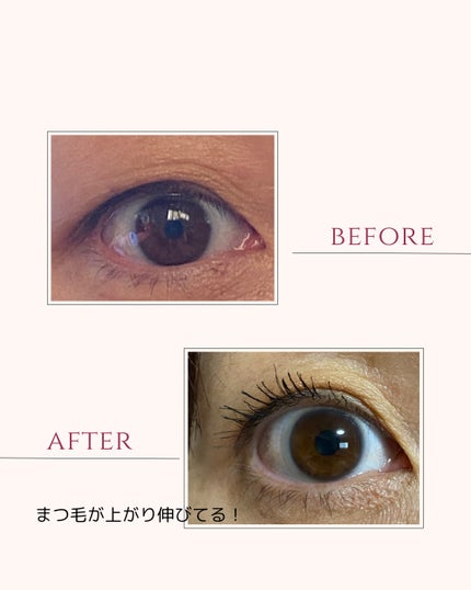 ラッシュキープマスカラ/Ririmew/マスカラを使ったクチコミ(2枚目)