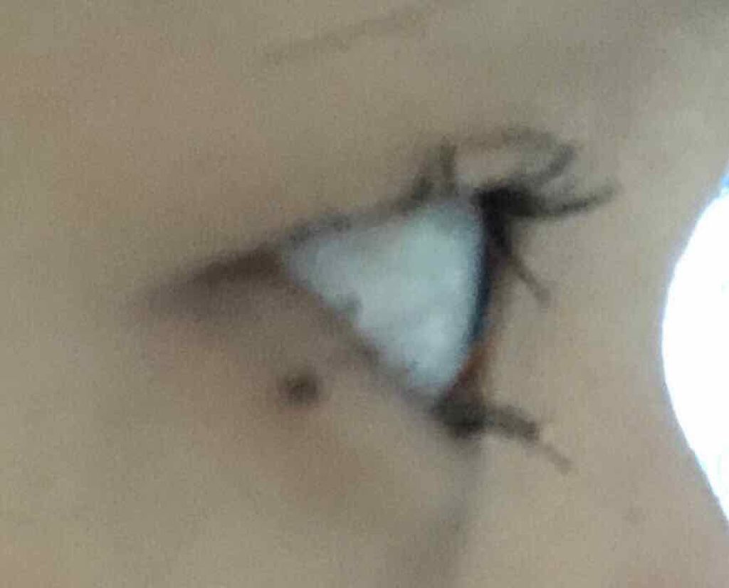 クイックラッシュカーラー/キャンメイク/マスカラ下地を使ったクチコミ（3枚目）