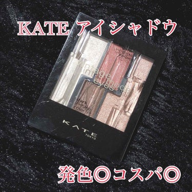 ヴィンテージモードアイズ/KATE/パウダーアイシャドウを使ったクチコミ（1枚目）