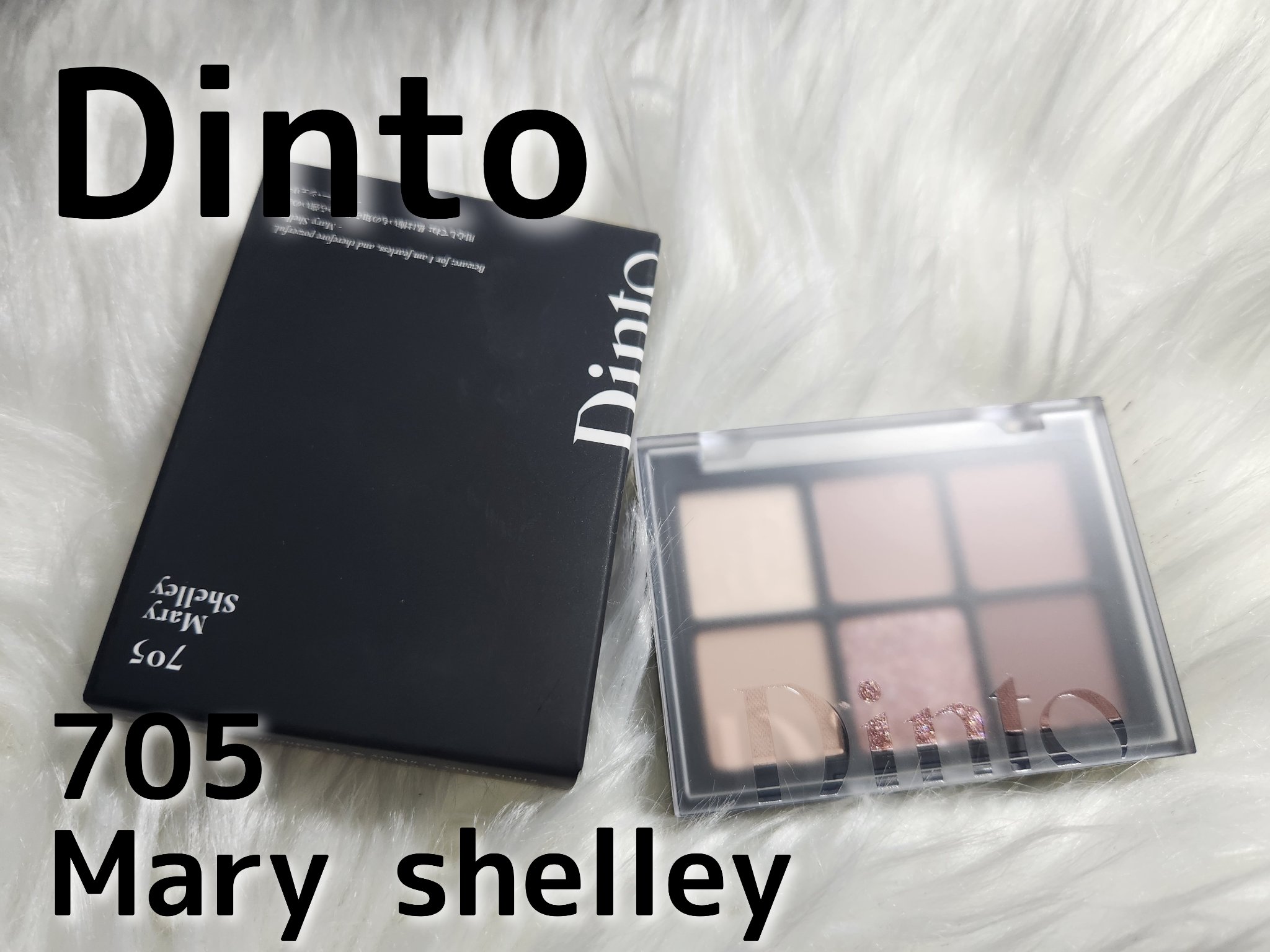ブラーフィニシュシャドウパレット/Dinto/アイシャドウパレットを使ったクチコミ（1枚目）