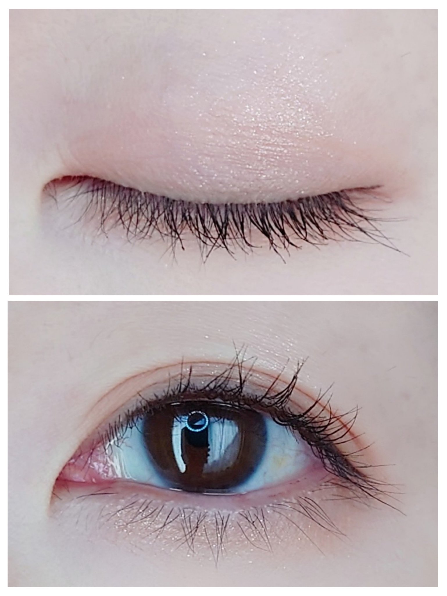 プロ アイパレット ミニ 04 FALLING IN NUDE/CLIO/アイシャドウパレットを使ったクチコミ（3枚目）