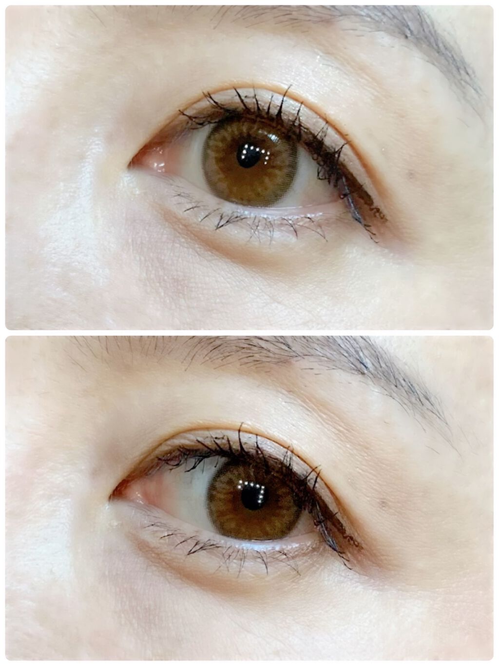 ダズリング3カラーワンデー(Dazzling 3color 1day )/OLOLA/ワンデー(1DAY)カラコンを使ったクチコミ(2枚目)