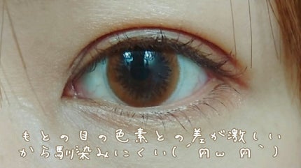 ReVIA CIRCLE 1day/ReVIA/ワンデー(1DAY)カラコンを使ったクチコミ(2枚目)