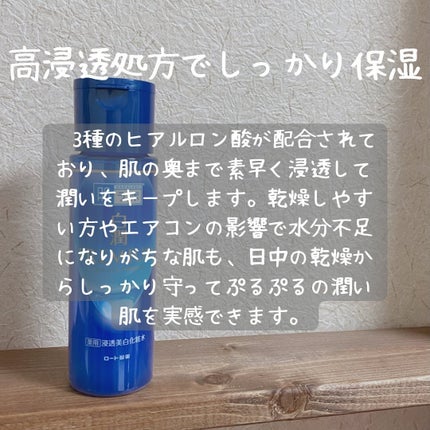 白潤プレミアム薬用浸透美白化粧水/肌ラボ/化粧水を使ったクチコミ(2枚目)