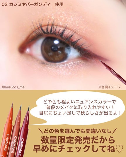 エフォートレスライナー/キャンメイク/リキッドアイライナーを使ったクチコミ(4枚目)