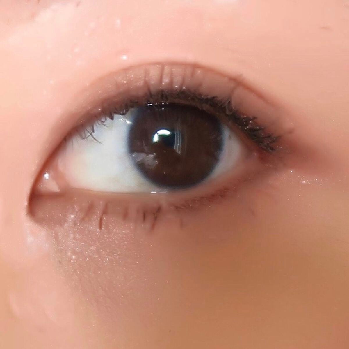 パーフェクトスタイリストアイズ/キャンメイク/アイシャドウパレットを使ったクチコミ(4枚目)