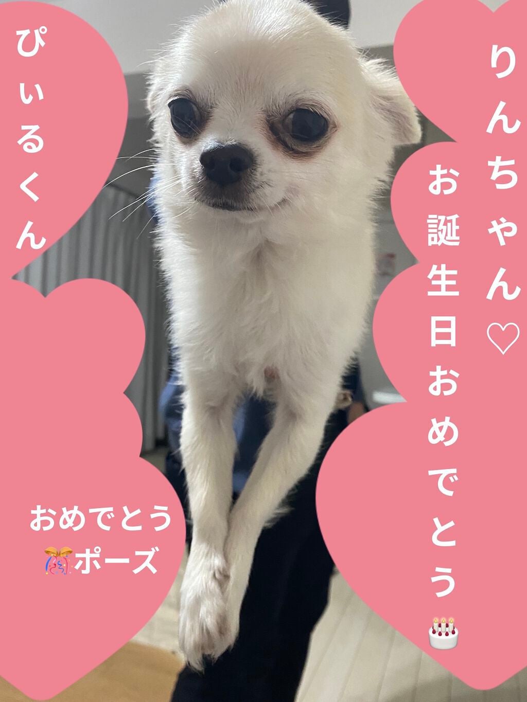 ル・ヌフ・ジバンシイ/GIVENCHY/アイシャドウパレットを使ったクチコミ(4枚目)