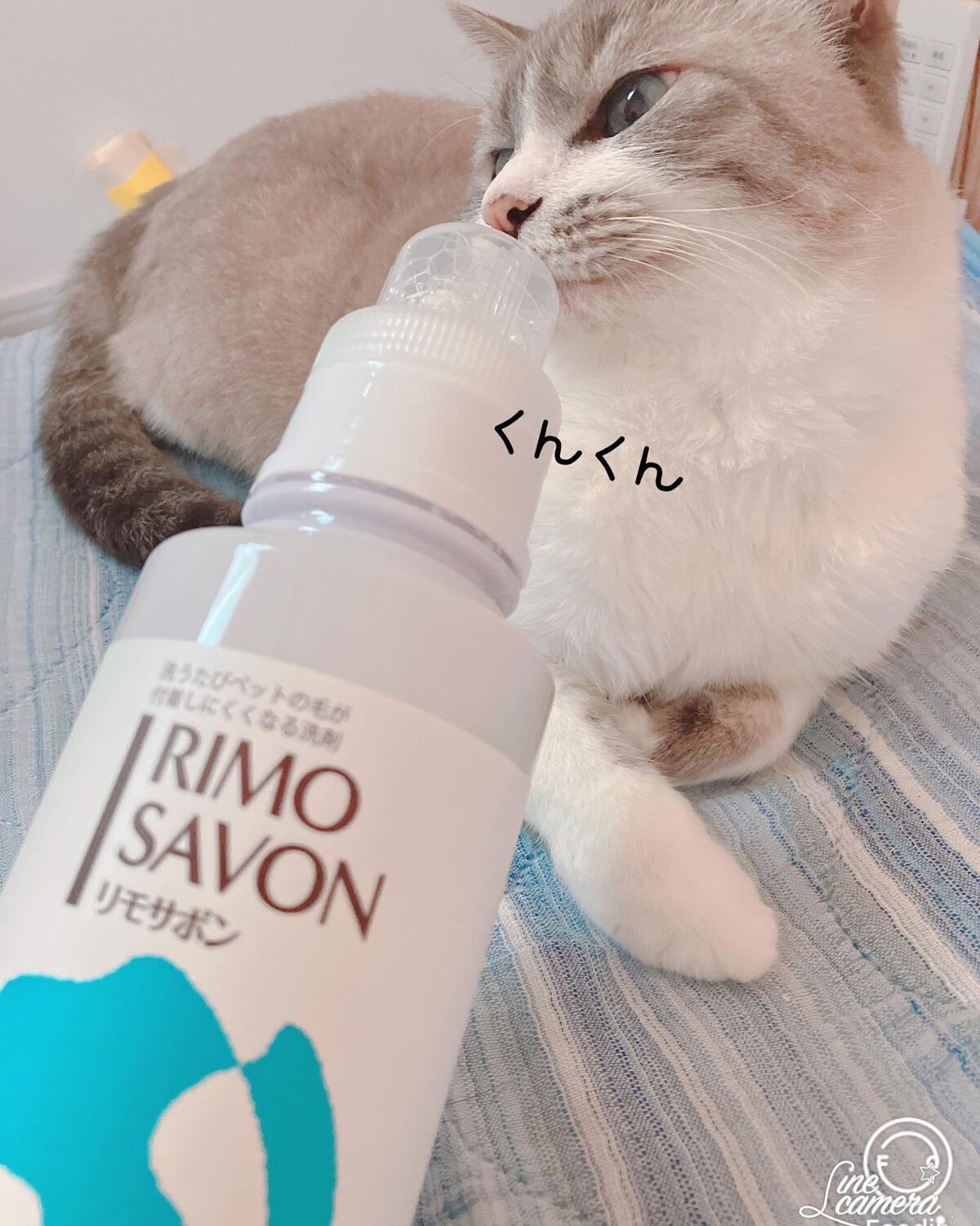 リモサボン/北の快適工房/その他を使ったクチコミ(2枚目)