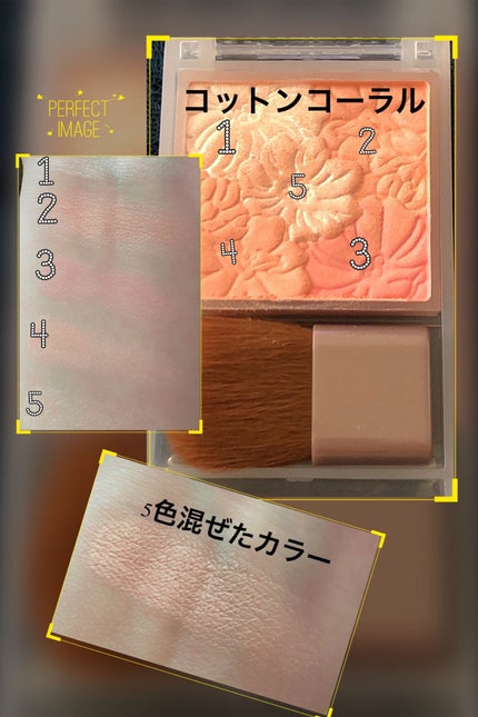 グロウフルールチークス(ブレンドタイプ)/キャンメイク/パウダーチークを使ったクチコミ(3枚目)