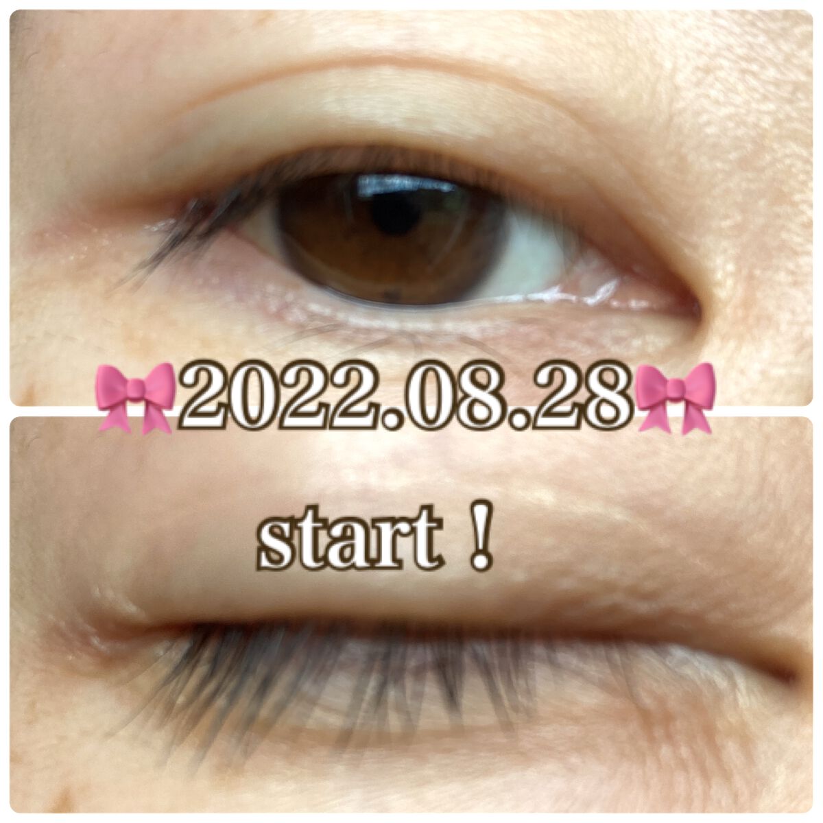 アデノバイタル アイラッシュセラム/資生堂プロフェッショナル/まつげ美容液を使ったクチコミ(2枚目)