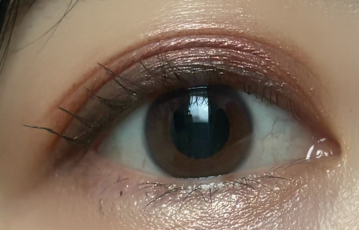 アンラップド ミニアイシャドーパレット ORGASM /NARS/アイシャドウパレットを使ったクチコミ(3枚目)