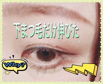 ラッシュジェリードロップ EX/MAJOLICA MAJORCA/まつげ美容液を使ったクチコミ(3枚目)