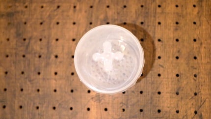 ほいっぷるん/DAISO/その他スキンケアグッズを使ったクチコミ(3枚目)