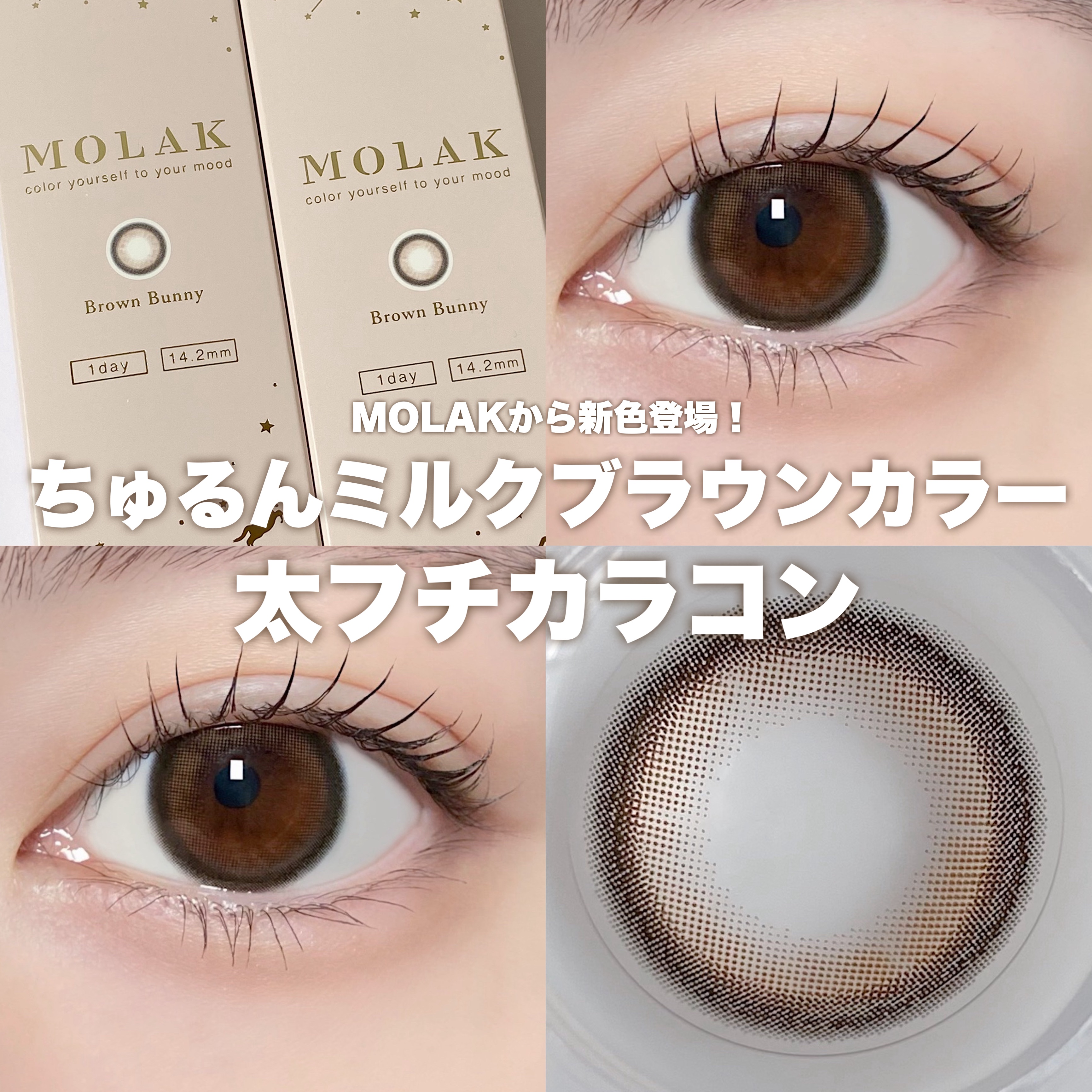 MOLAK 1day/MOLAK/ワンデー（１DAY）カラコンを使ったクチコミ（1枚目）