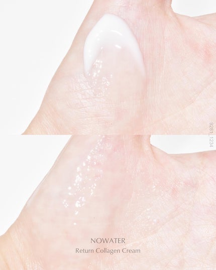 リターンコラーゲンクリーム/NOWATER/フェイスクリームを使ったクチコミ(4枚目)