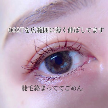 ザ アイシャドウ ティント 003T Dewy Plum/ADDICTION/ジェル・クリームアイシャドウを使ったクチコミ（2枚目）