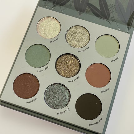 sage the day palette/ColourPop/アイシャドウパレットを使ったクチコミ(5枚目)