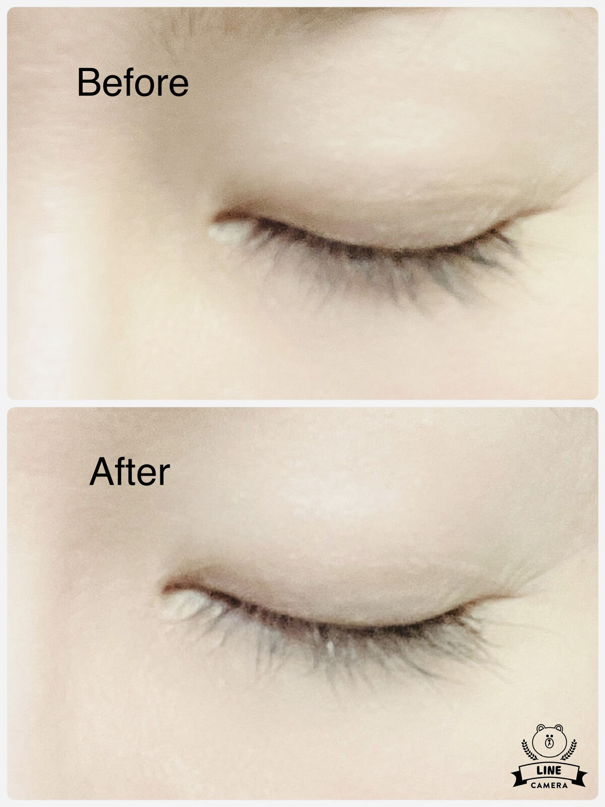 ビーンアイラッシュセラム/BEAN Products/まつげ美容液を使ったクチコミ（2枚目）