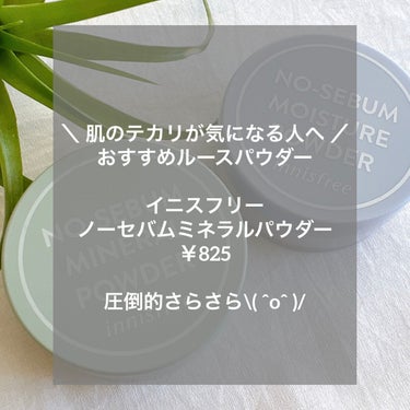 ノーセバム　ミネラルパウダー　N/innisfree/ルースパウダーを使ったクチコミ（1枚目）