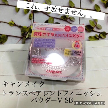 トランスペアレントフィニッシュパウダー SB シャイニーブーケ/キャンメイク/プレストパウダーを使ったクチコミ（1枚目）