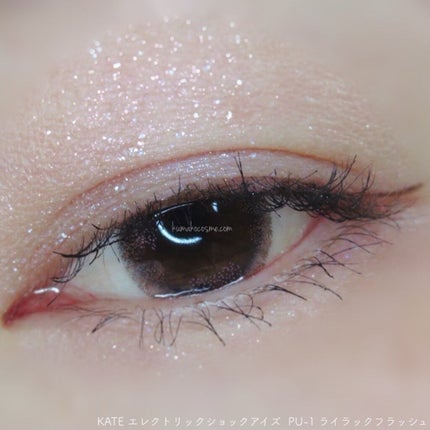 エレクトリックショックアイズ /KATE/アイシャドウパレットを使ったクチコミ(6枚目)