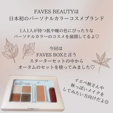 フェイブスボックス/FAVES BEAUTY/メイクアップキットを使ったクチコミ（2枚目）