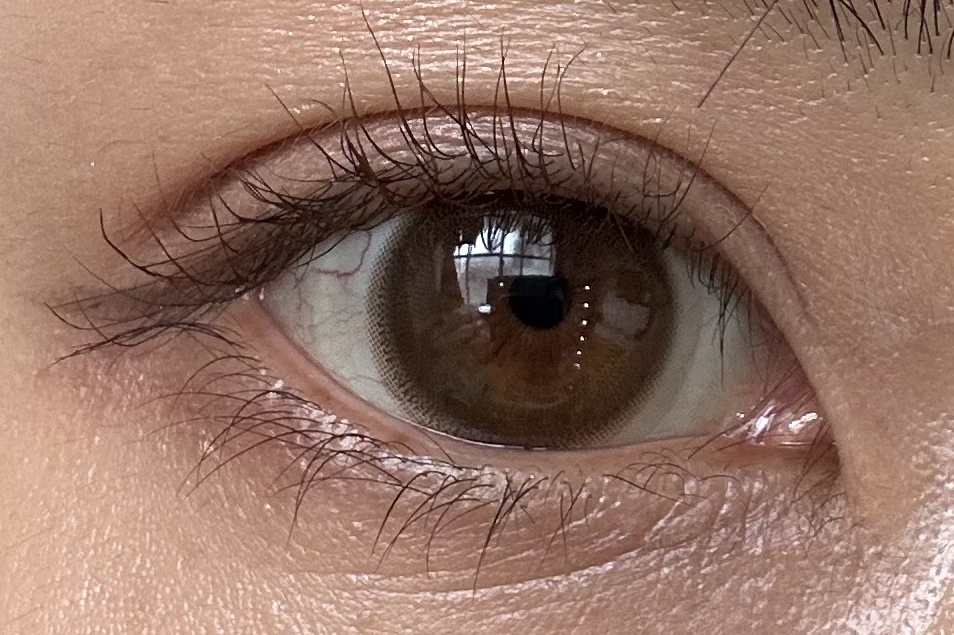 ディオールショウ サンク クルール 429 トワル ドゥ ジュイ/Dior/アイシャドウを使ったクチコミ（1枚目）