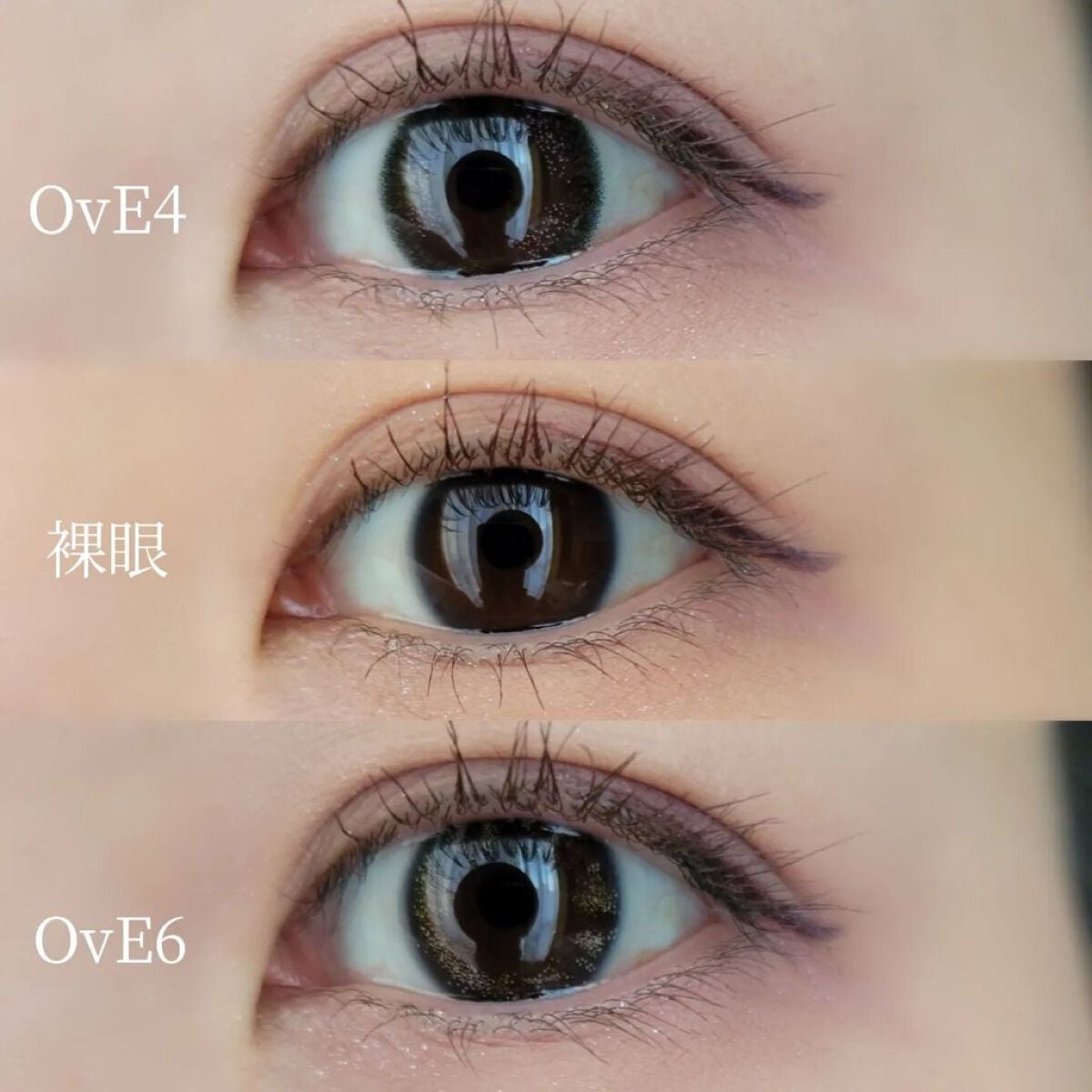 OvE(オヴィ) 1day/OvE/ワンデー(1DAY)カラコンを使ったクチコミ(5枚目)