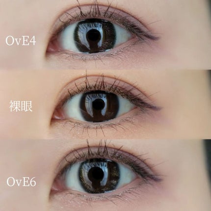 OvE(オヴィ) 1day/OvE/ワンデー(1DAY)カラコンを使ったクチコミ(5枚目)