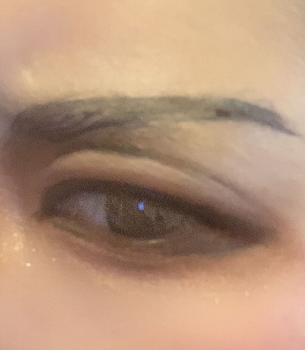 【旧品】パーフェクトスタイリストアイズ/キャンメイク/アイシャドウパレットを使ったクチコミ（2枚目）