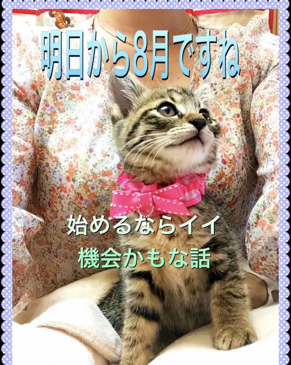 相談/その他を使ったクチコミ（1枚目）