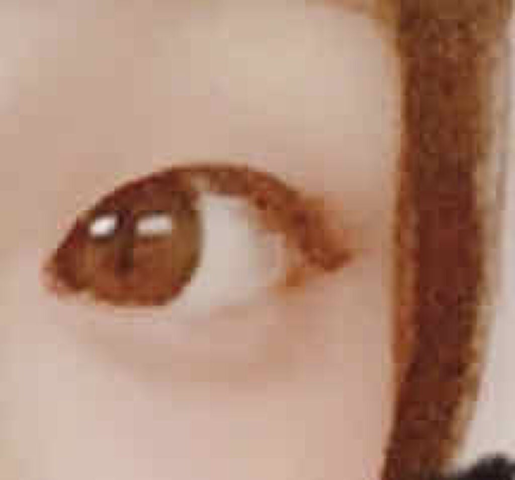 【旧品】オリシキ アイリッドスキンフィルム/D-UP/二重まぶた用アイテムを使ったクチコミ(2枚目)