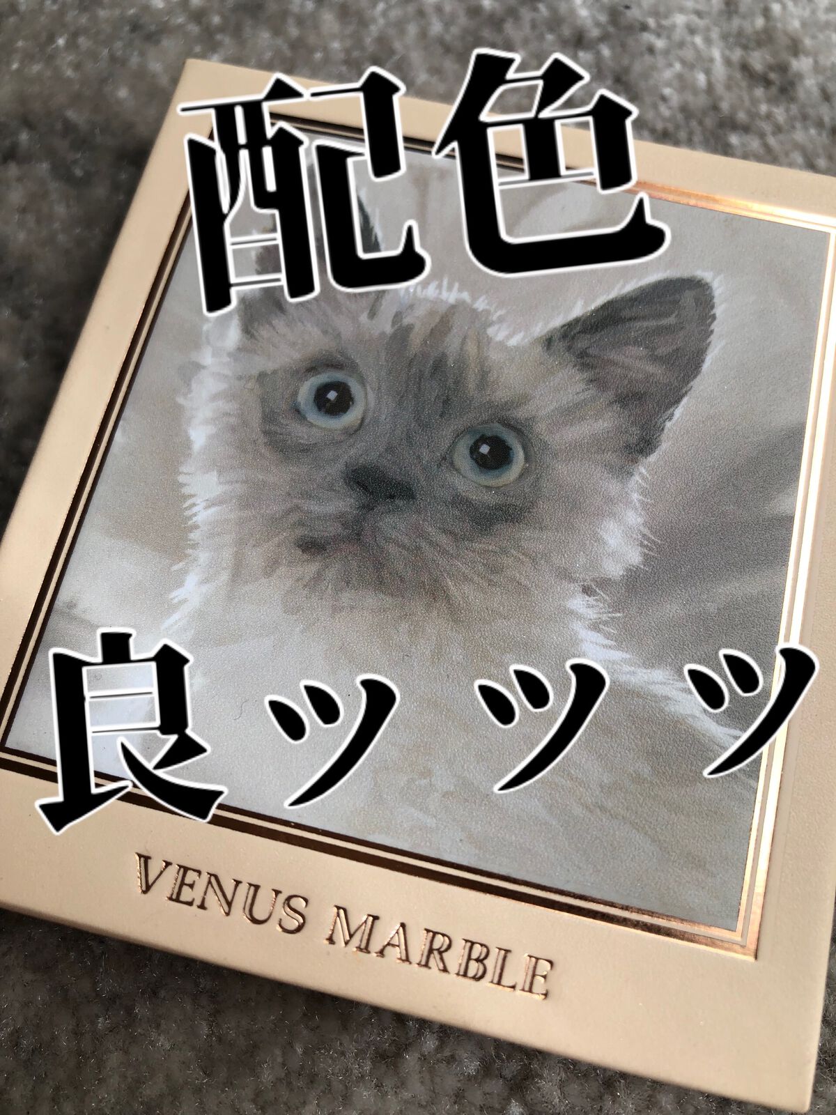 Venus Marble アイシャドウキャットシリーズ/Venus Marble/アイシャドウパレットを使ったクチコミ（1枚目）