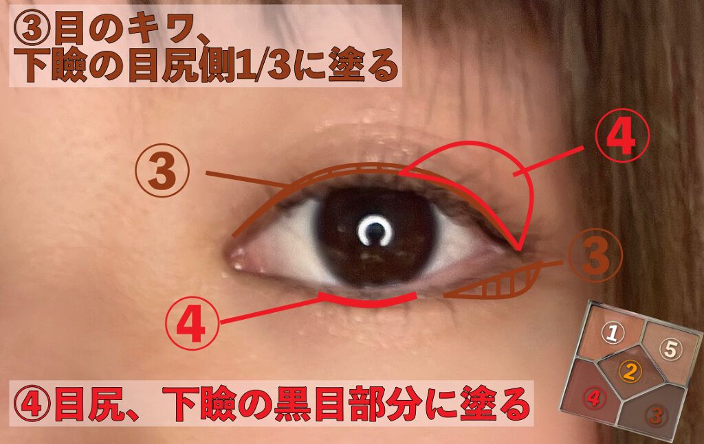 【旧】サンク クルール クチュール/Dior/アイシャドウパレットを使ったクチコミ(3枚目)