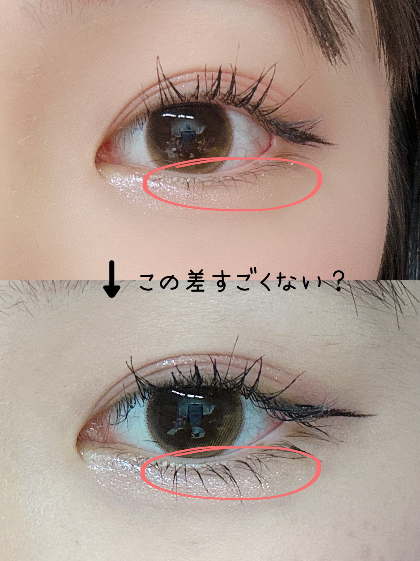 ミゼルエディ アンダーキープマスカラ/ミゼルエディ/マスカラを使ったクチコミ(1枚目)