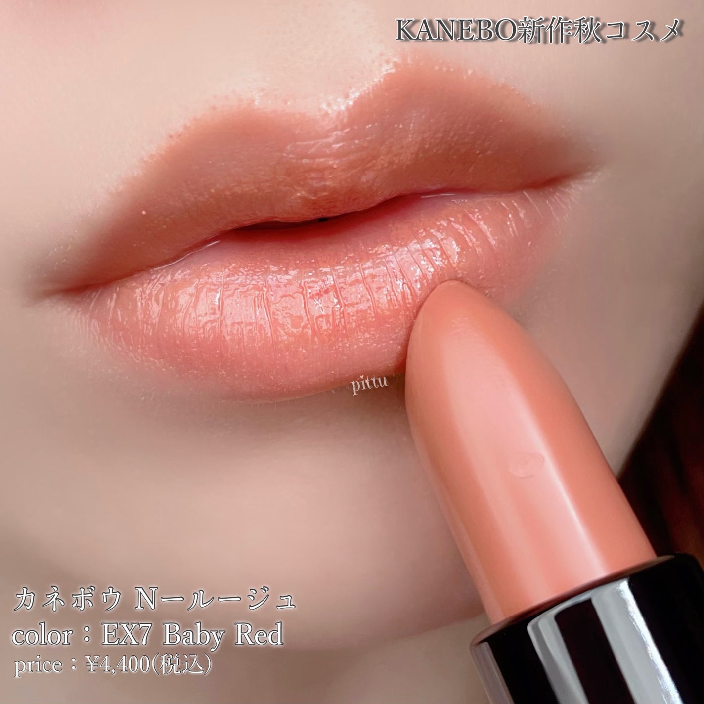 カネボウ Nールージュ/KANEBO/口紅を使ったクチコミ(6枚目)