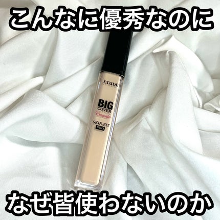 ビッグカバーフィットコンシーラー/ETUDE/リキッドコンシーラーを使ったクチコミ(1枚目)
