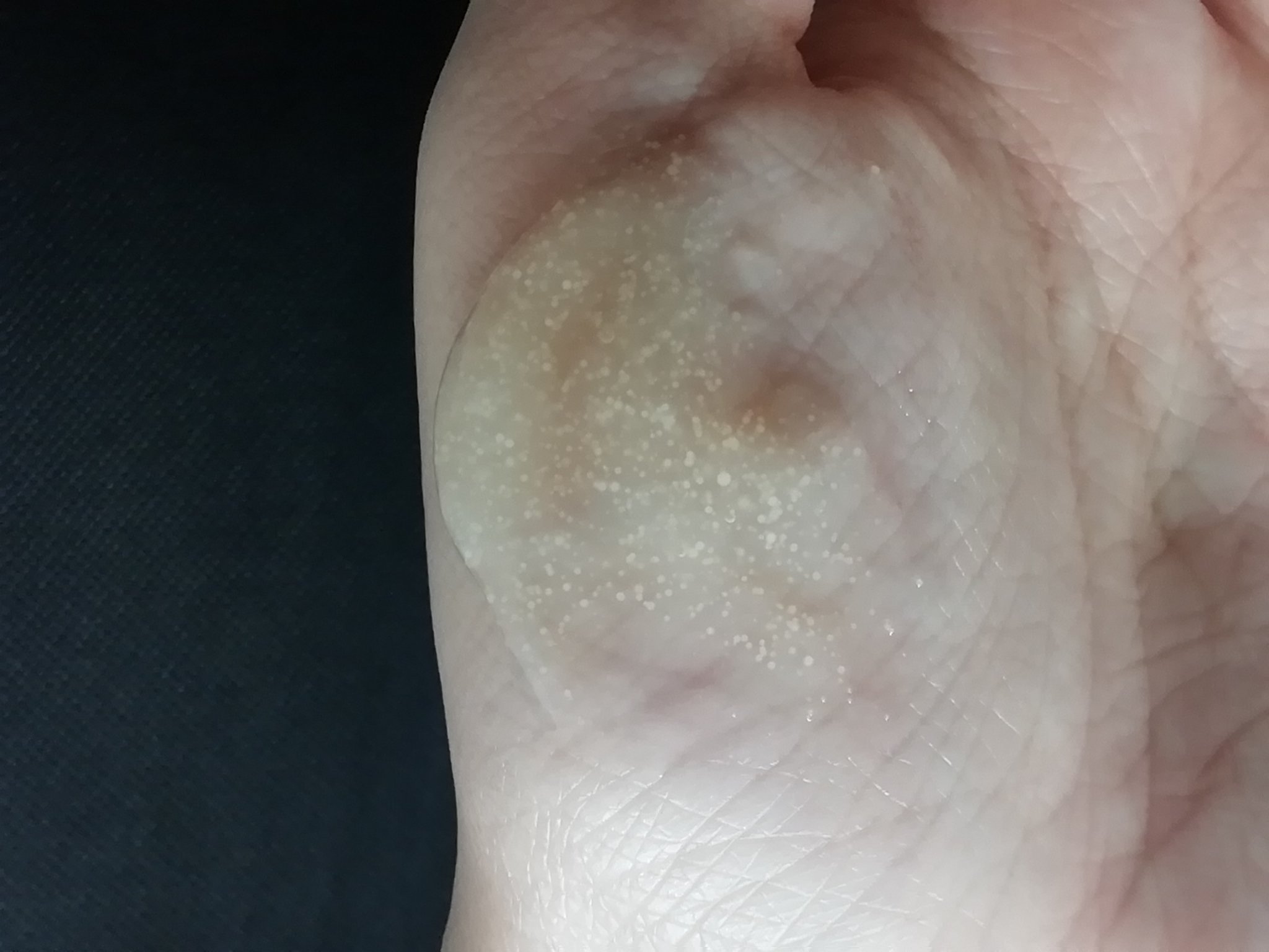 スペシャルジェルクリーム　ＥＸ　（オイルイン）/アクアレーベル/オールインワン化粧品を使ったクチコミ（3枚目）