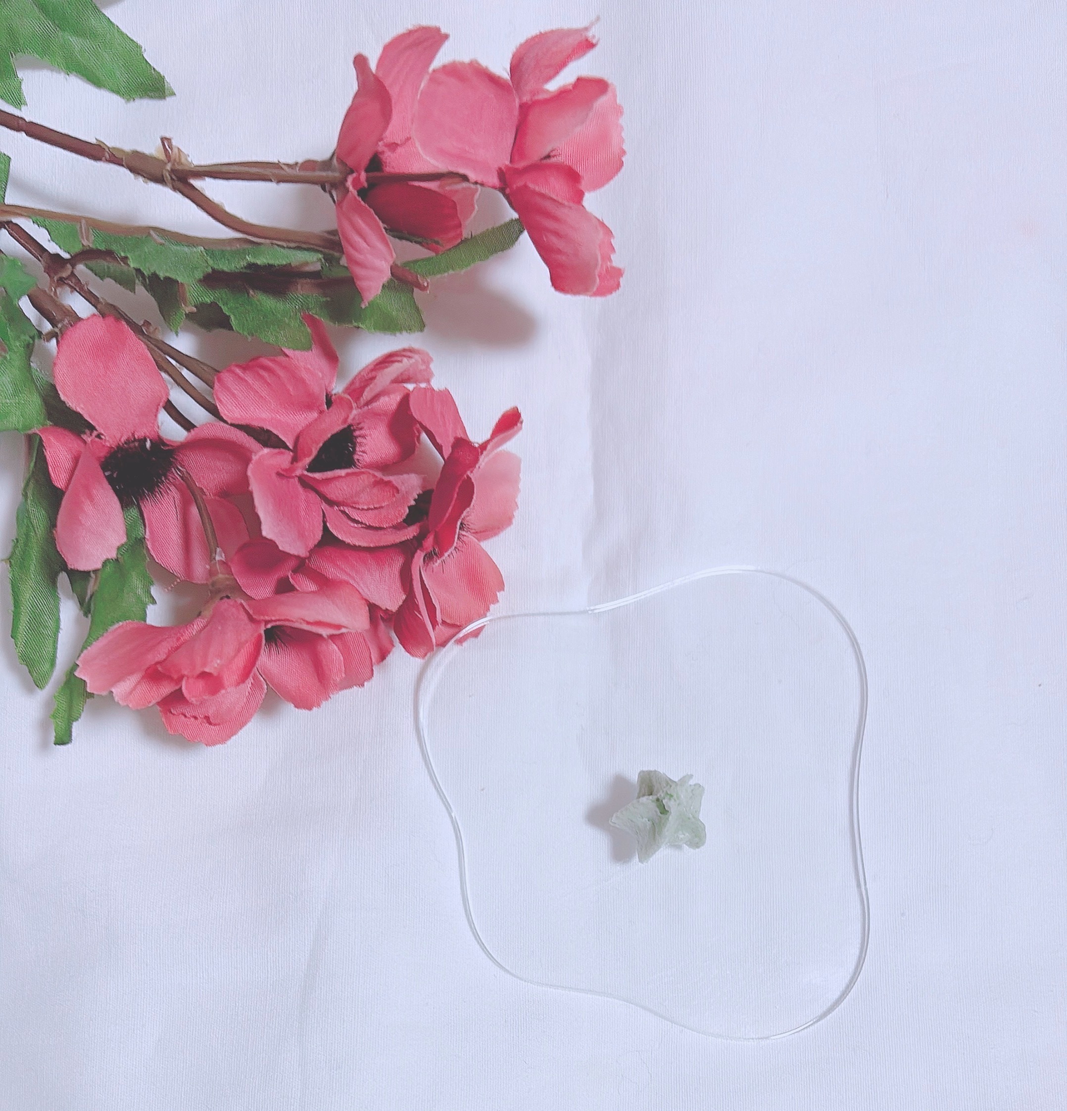 ヴィーガンパッククレンザーチューブ/WHIPPED/洗顔フォームを使ったクチコミ（3枚目）