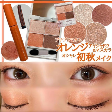 シルキースフレアイズ/キャンメイク/アイシャドウパレットを使ったクチコミ(1枚目)